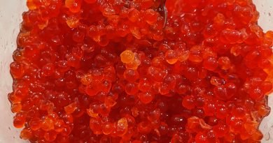 How To Salt-Cure Salmon Roe And Make Ikura Caviar