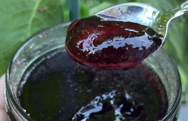 How To Make And Can Blackcurrant Jostaberry Jelly