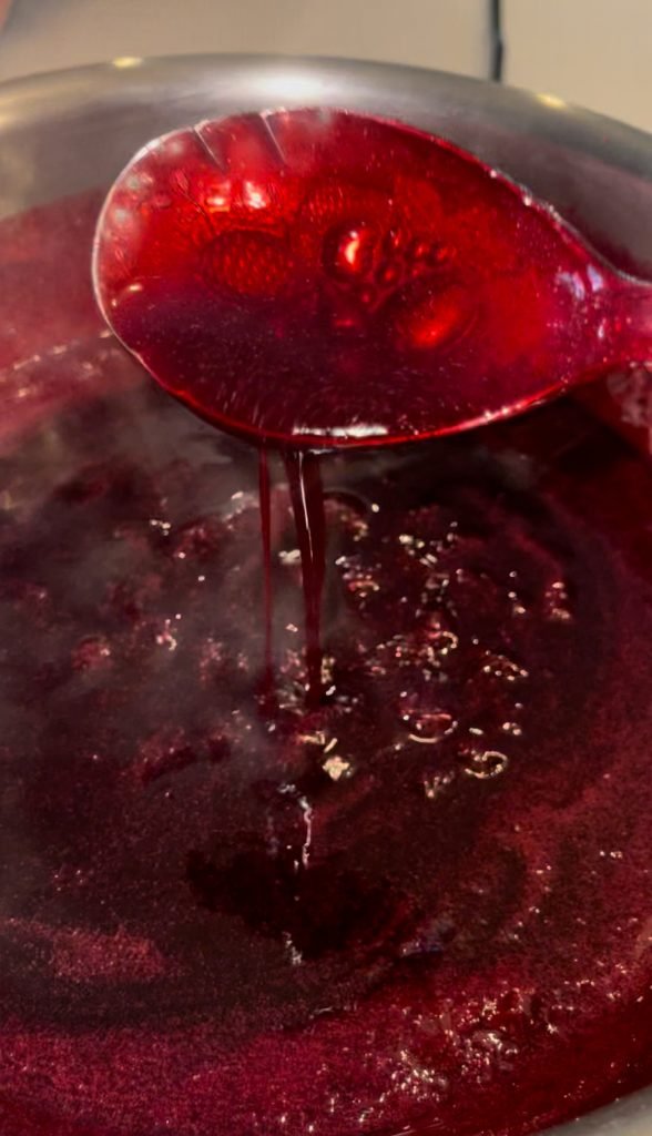 fully cooked blackcurrant jelly ready to be preserved